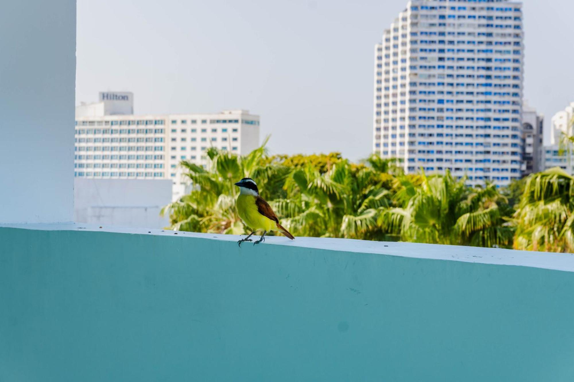 Hotel Coral Reef Cartagena Esterno foto